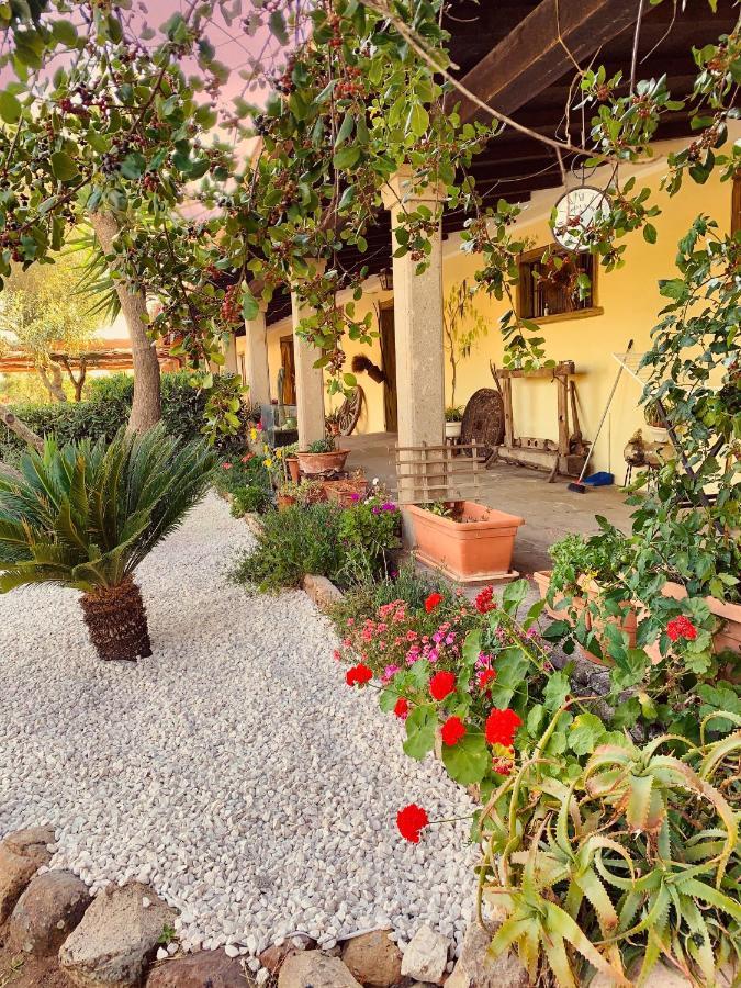 Villa Agriturismo Da Lino Agripizza Samugheo Exterior foto